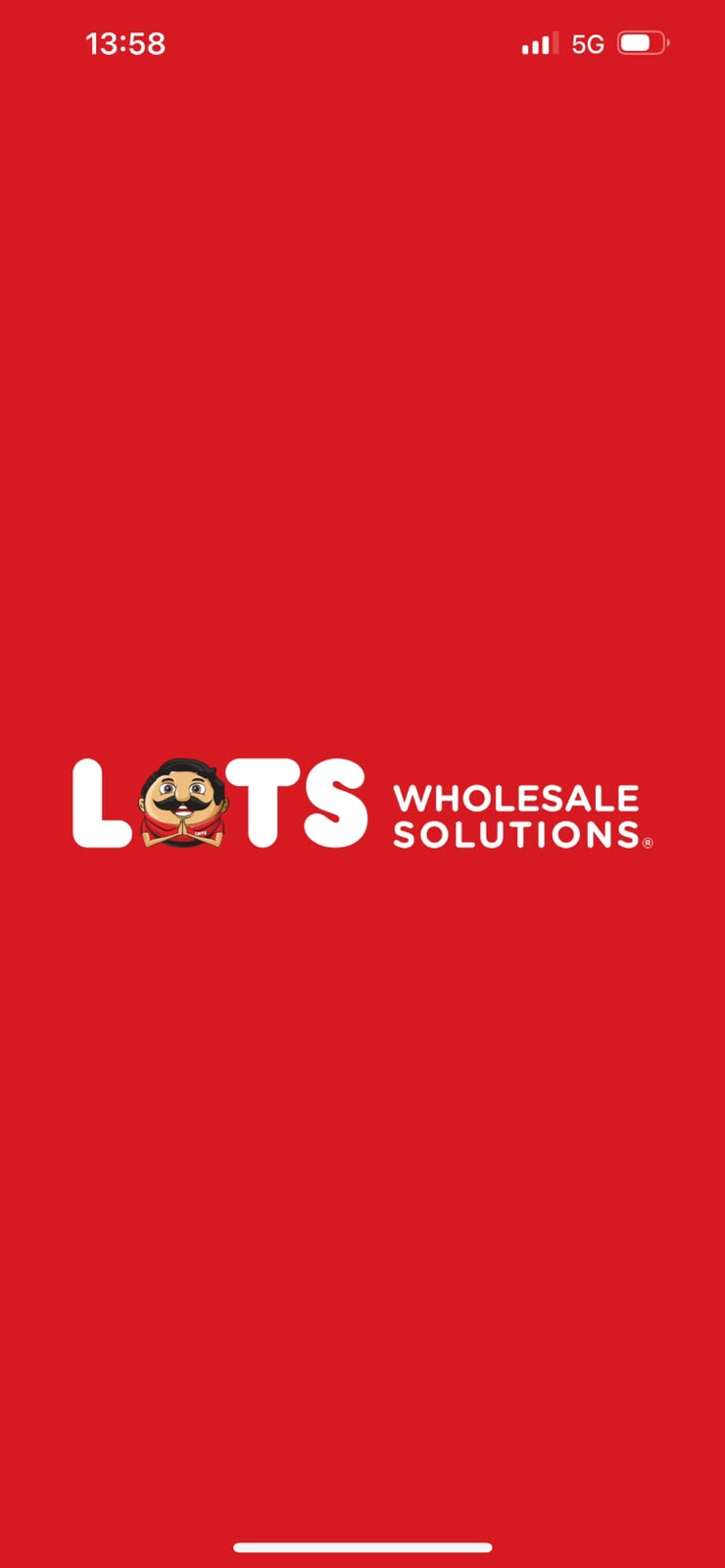 LOTS Wholesale Solutions brand identity